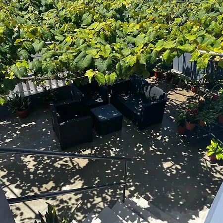 Апартаменты Vivenda Ferreira *